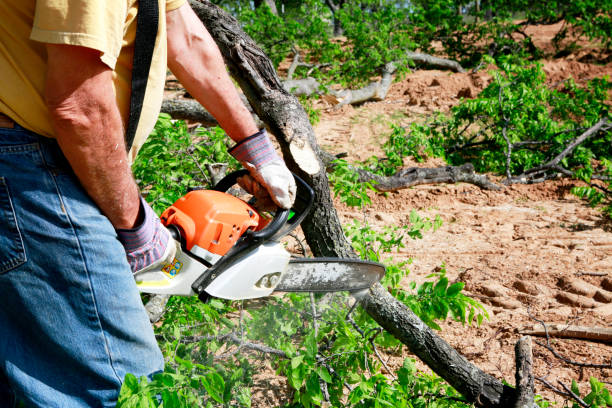 Seasonal Cleanup (Spring/Fall) in Grayling, MI